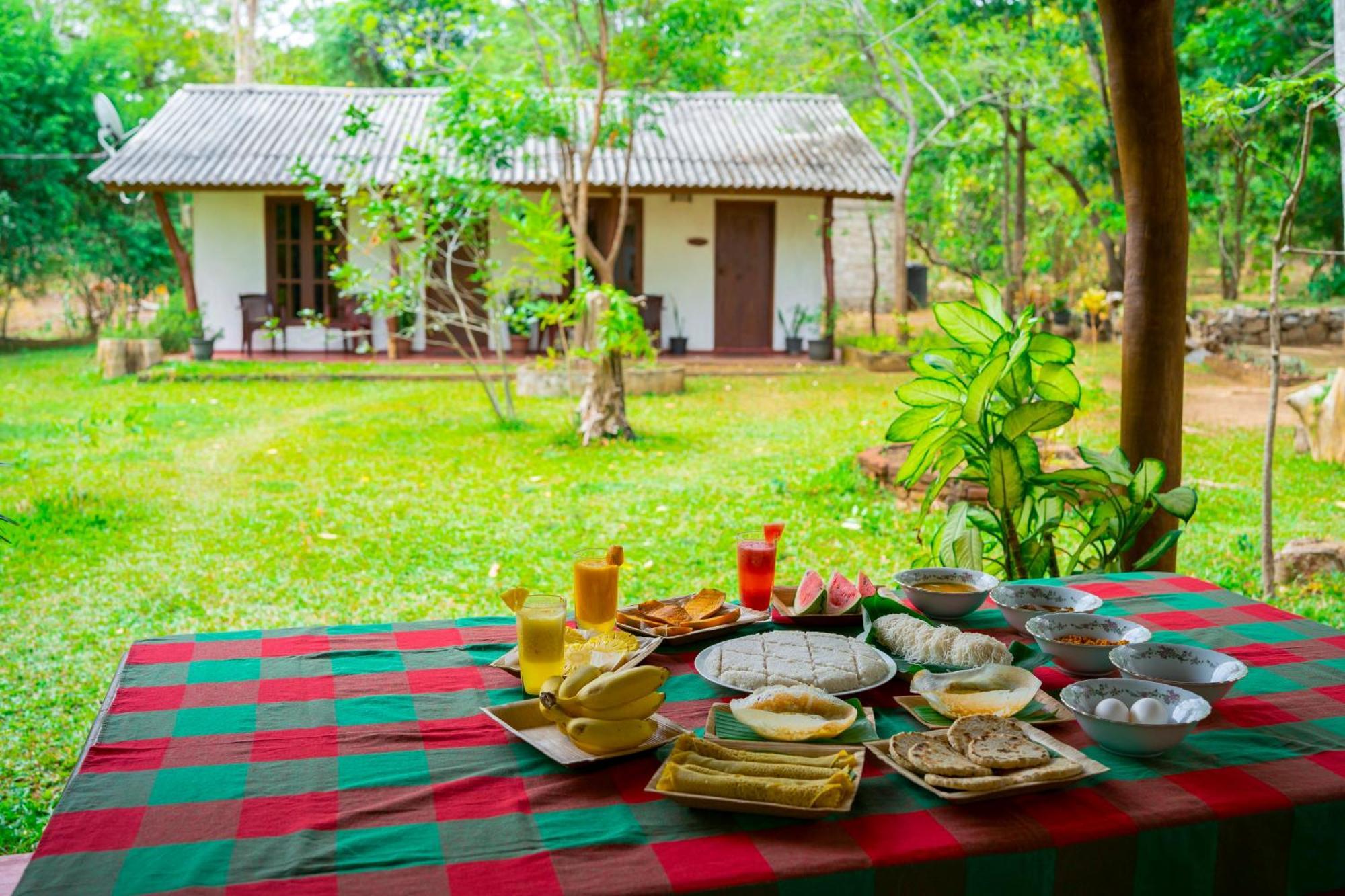 Bed and Breakfast Wild Hut Хабарана Экстерьер фото