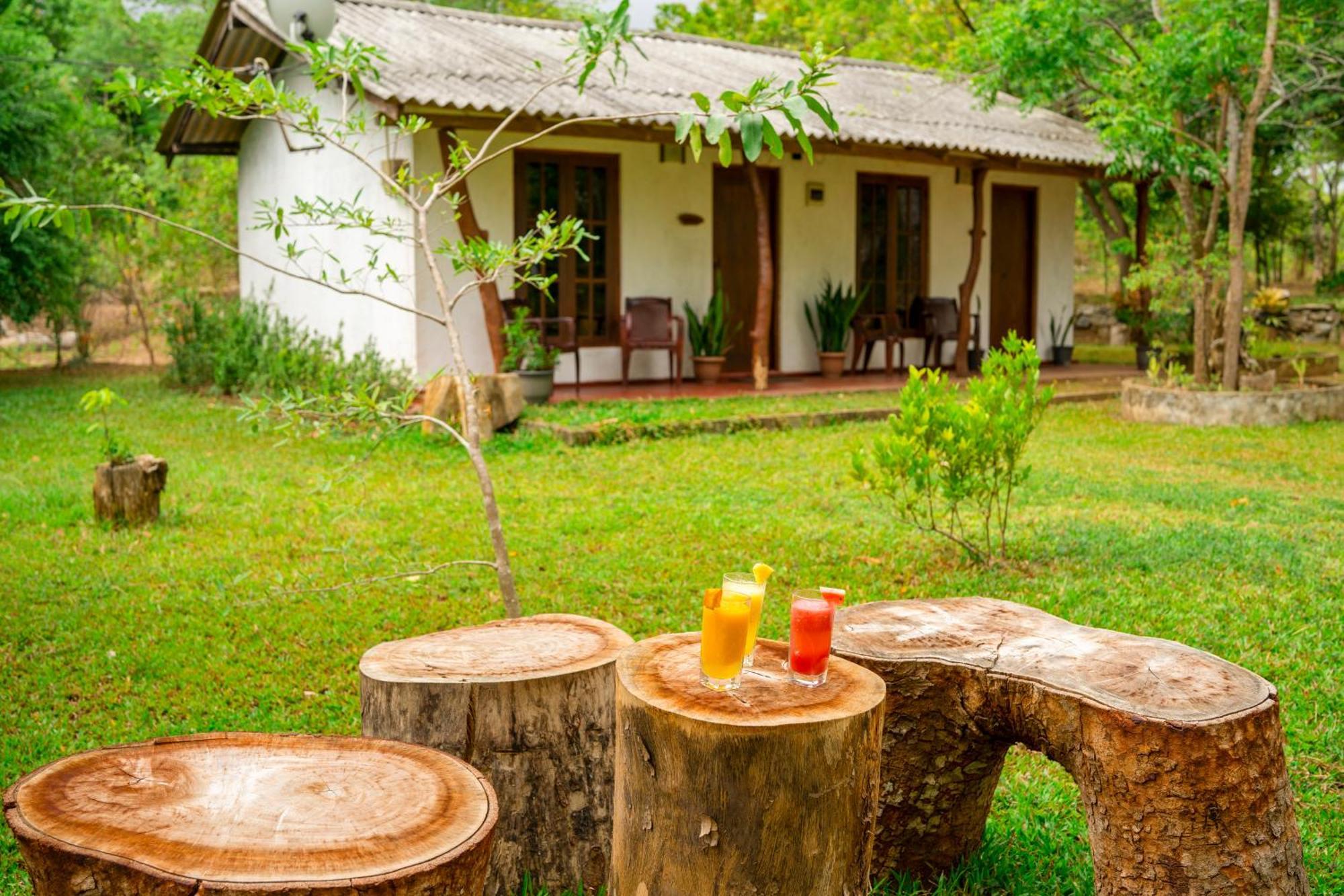 Bed and Breakfast Wild Hut Хабарана Экстерьер фото